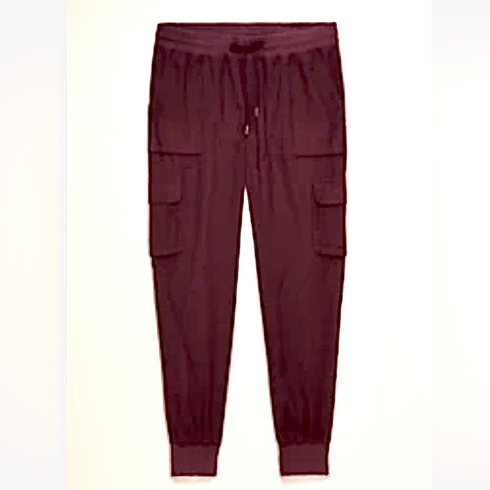 Aritzia Community NWOT Cebu Jogger/Cargo pant in Xs